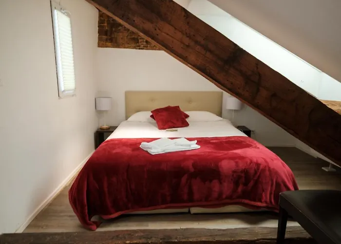 Hotel Du Raisin